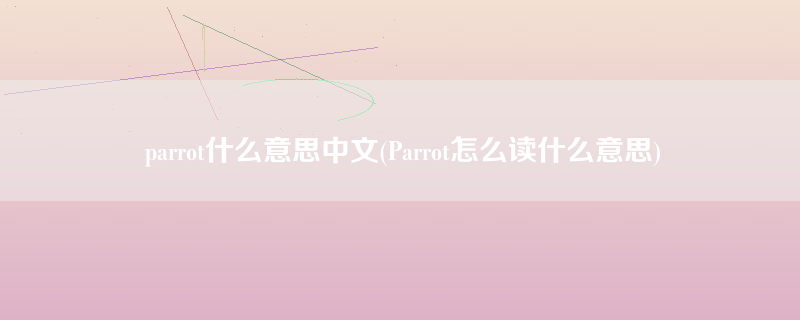 parrot什么意思中文(Parrot怎么读什么意思)