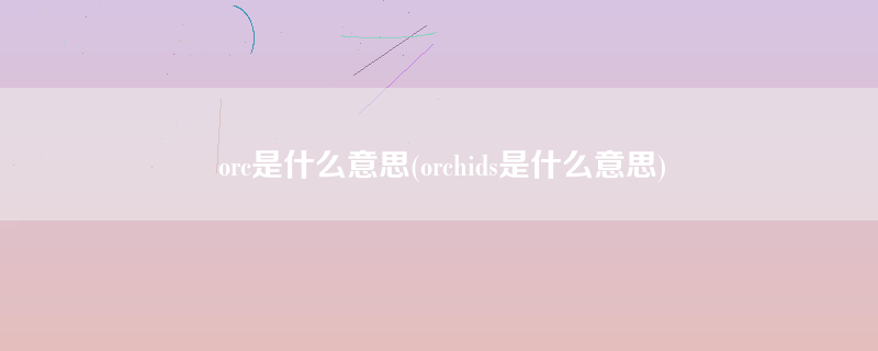 orc是什么意思(orchids是什么意思)