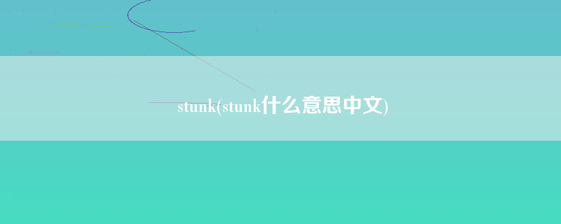 stunk(stunk什么意思中文)