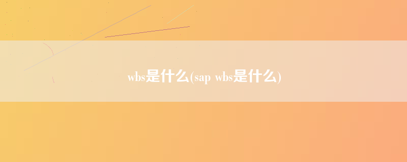 wbs是什么(sap wbs是什么)