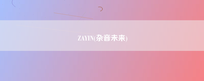 ZAYIN(杂音未来)