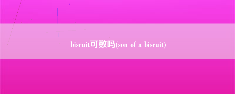 biscuit可数吗(son of a biscuit)