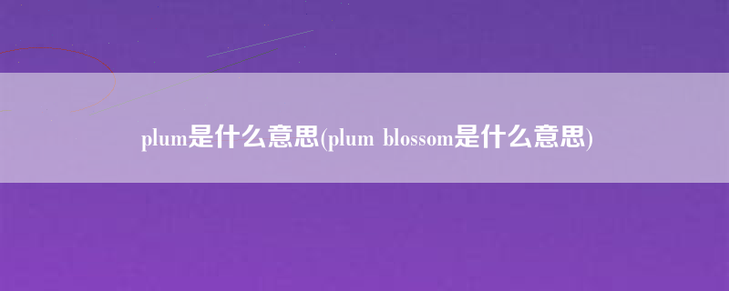 plum是什么意思(plum blossom是什么意思)