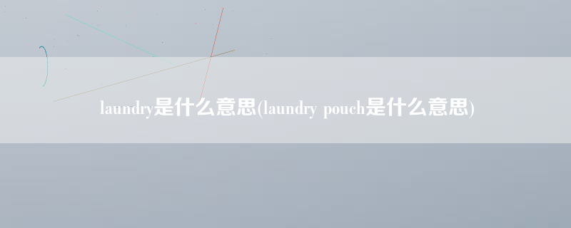 laundry是什么意思(laundry pouch是什么意思)