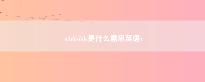 sild(silde是什么意思英语)